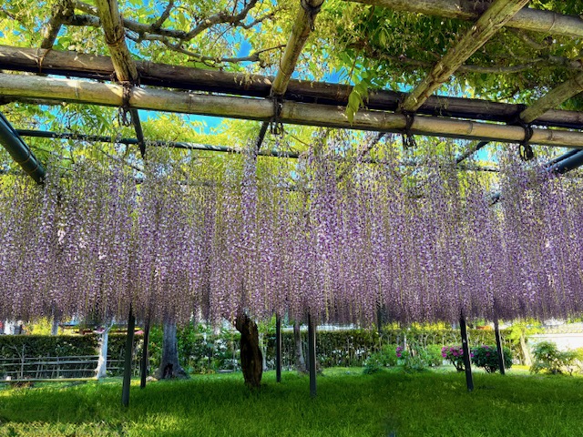 ゴールデンウィーク期間の営業日につきまして